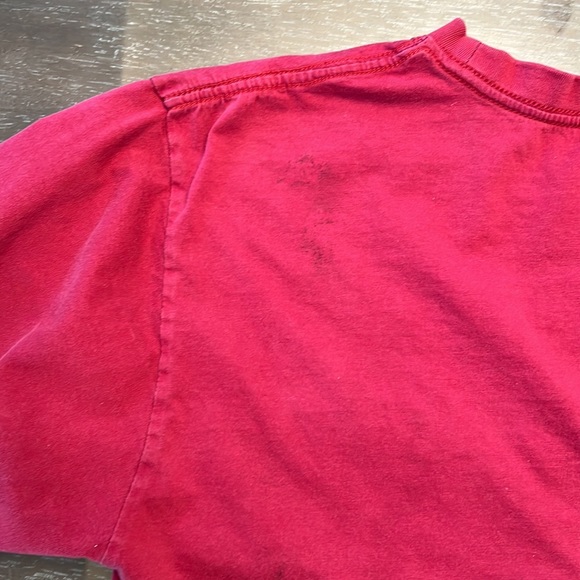 Men’s large embroidered Carolina Gamecocks t shirt CFB College football - Picture 7 of 8